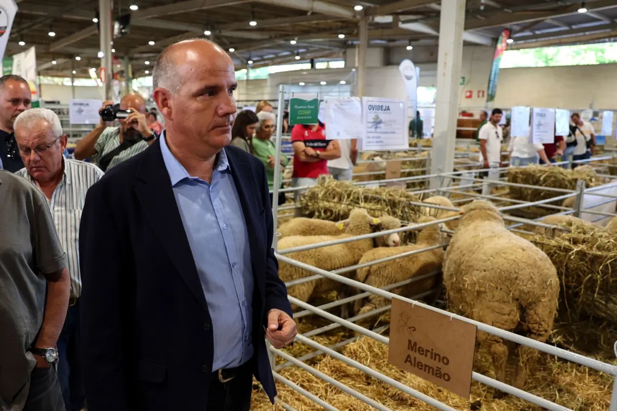 Paulo Raimundo, secretário-geral do PCP