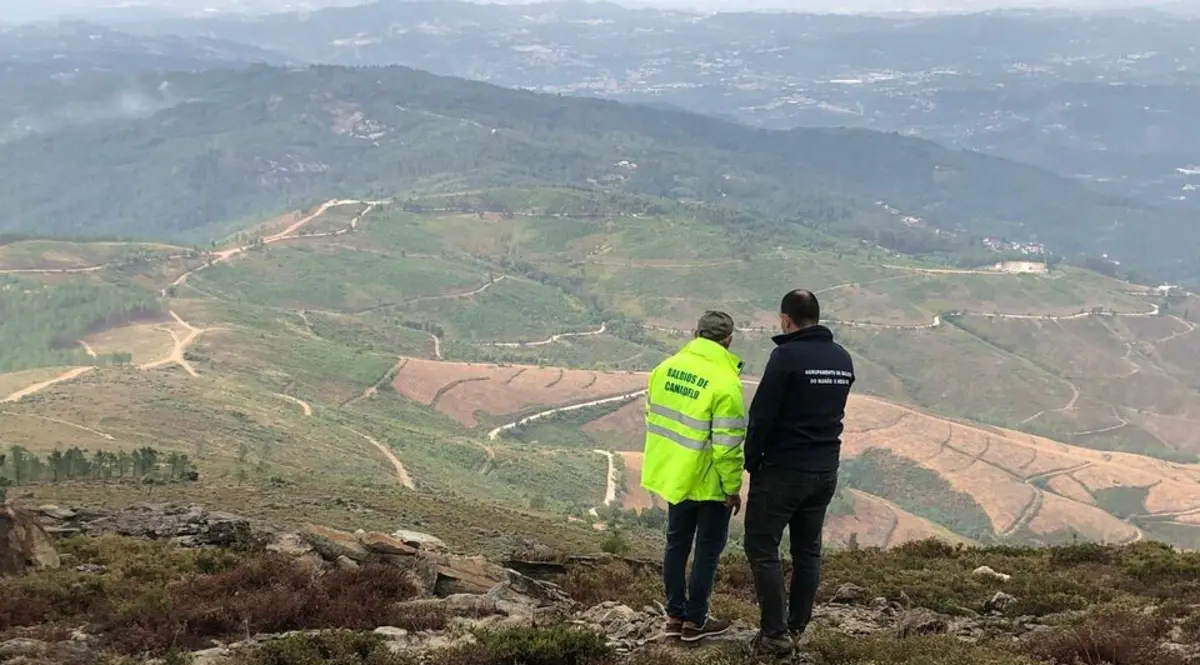 Agrupamento de Baldios do Marão e Meia Via é exemplo de gestão florestal