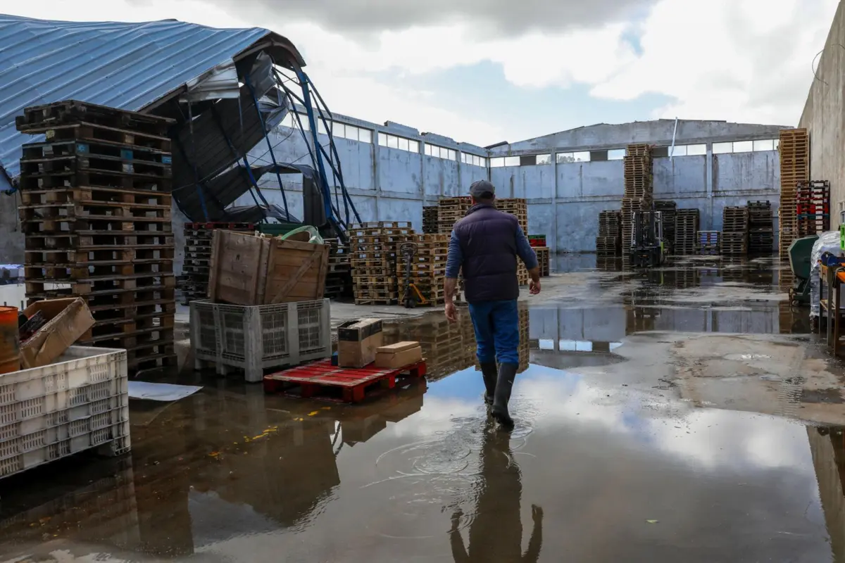 Depressão Kristin atingiu gravemente o distrito de Leiria a 28 de janeiro