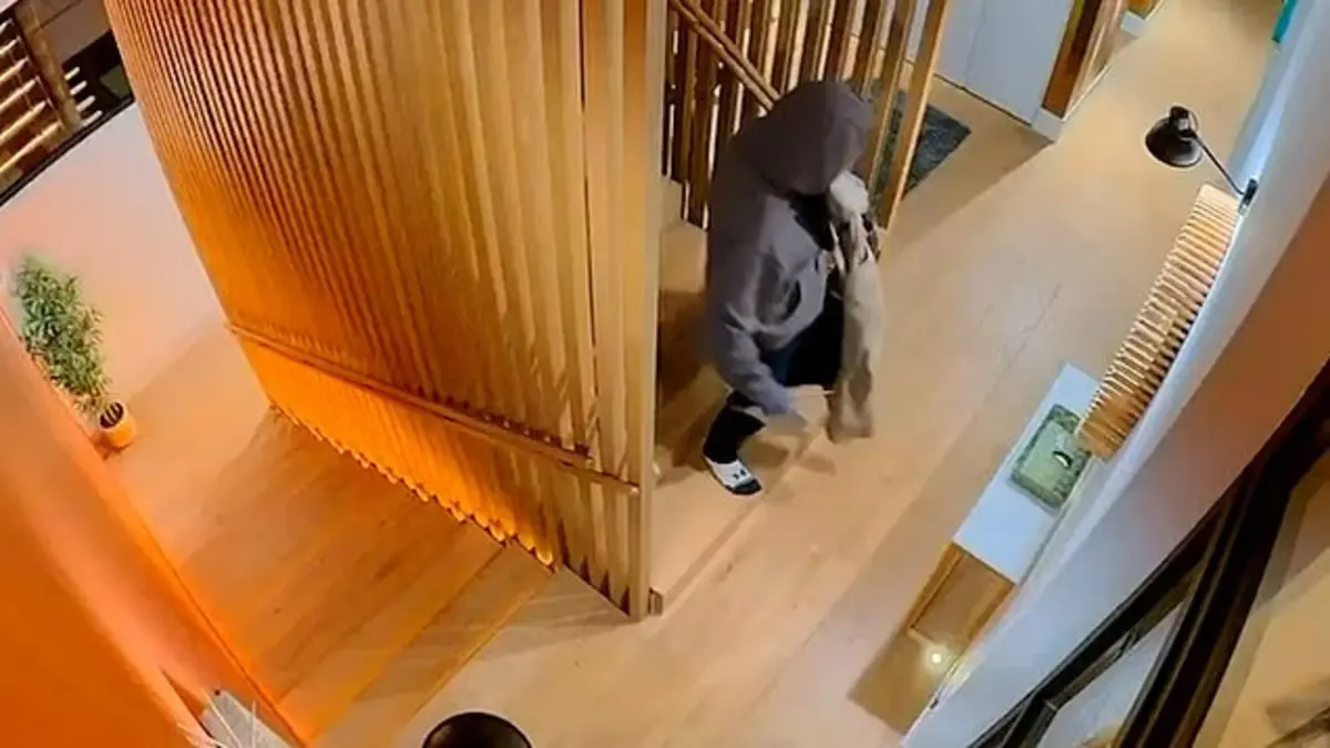 Imagem de contexto do artigo Ladrão invade casa e observa mulher nua a dormir por meia hora