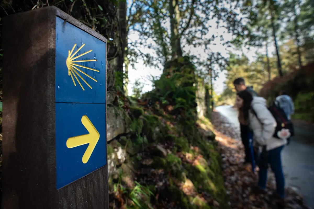 As autoridades pedem aos peregrinos que apresentem queixa