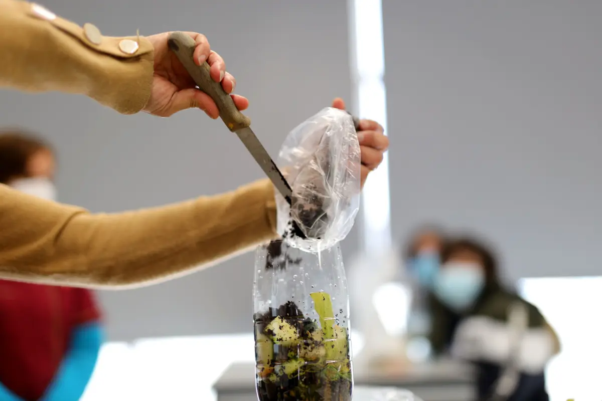 Serviço de recolha de biorresíduos no município tem vindo a ser alargado