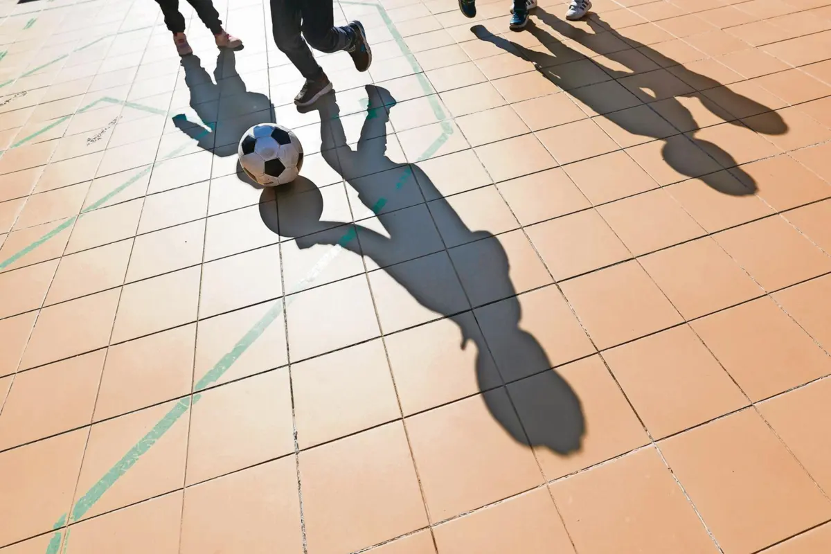 Associações defendem aulas lecionadas com docentes titulares em modelo de coadjuvação