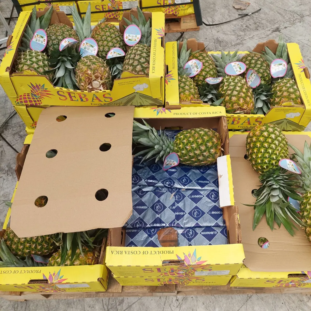 Cocaína foi descoberta no meio de ananases