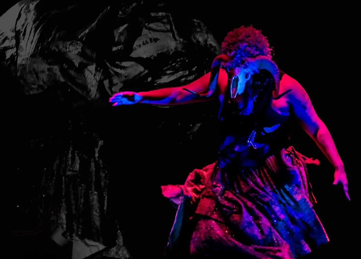 Metizaje Salvaje é a proposta que vai ser apresentada no dia 6 de novembro