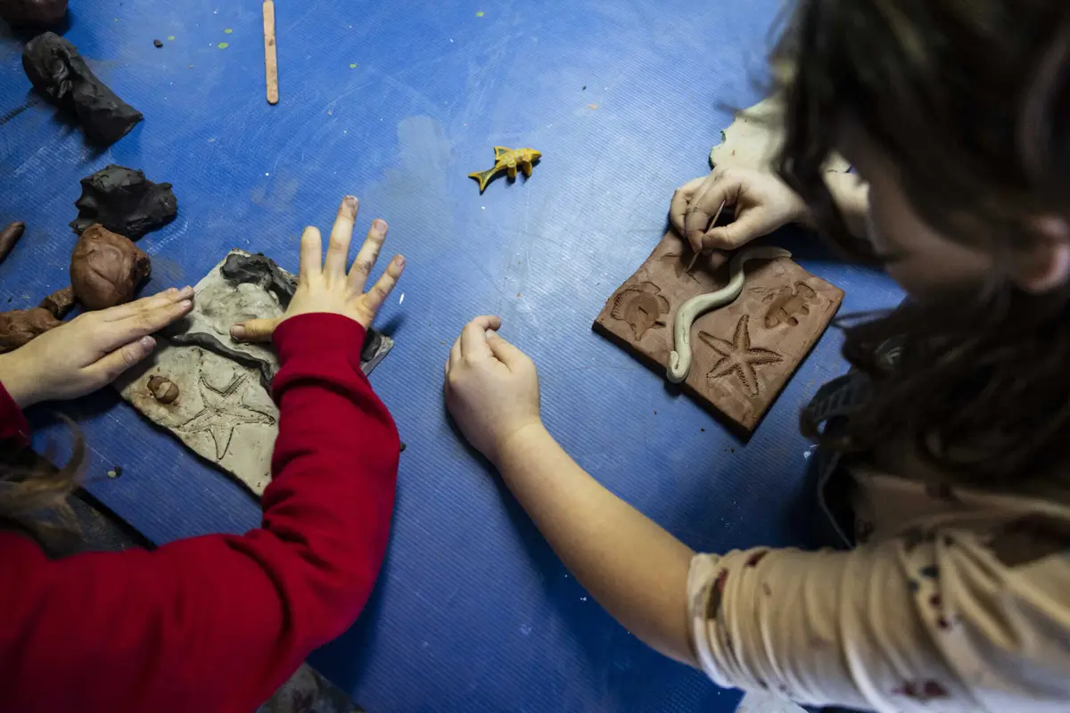 A incidência da arterapia faz-se em valências como o autoconhecimento, a autogestão, a consciência social ou a relação interpessoal