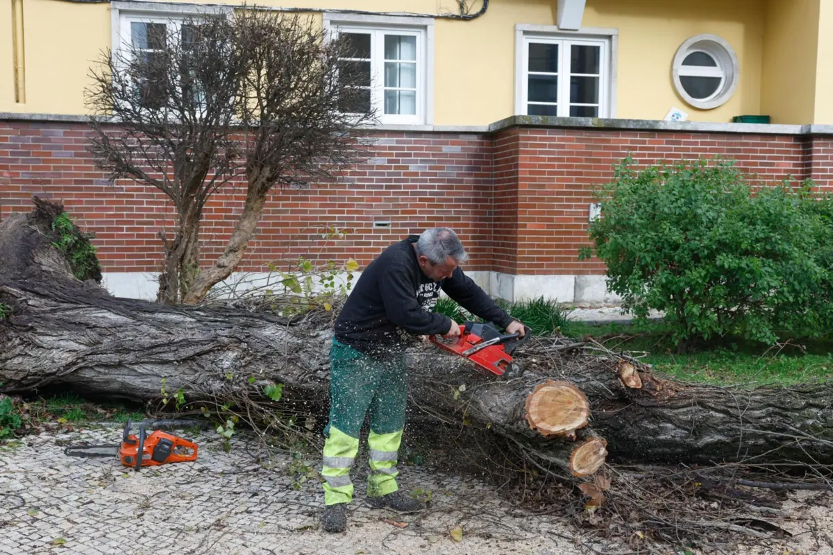 Imagem de contexto do artigo Três famílias desalojadas em Pombal devido ao mau tempo