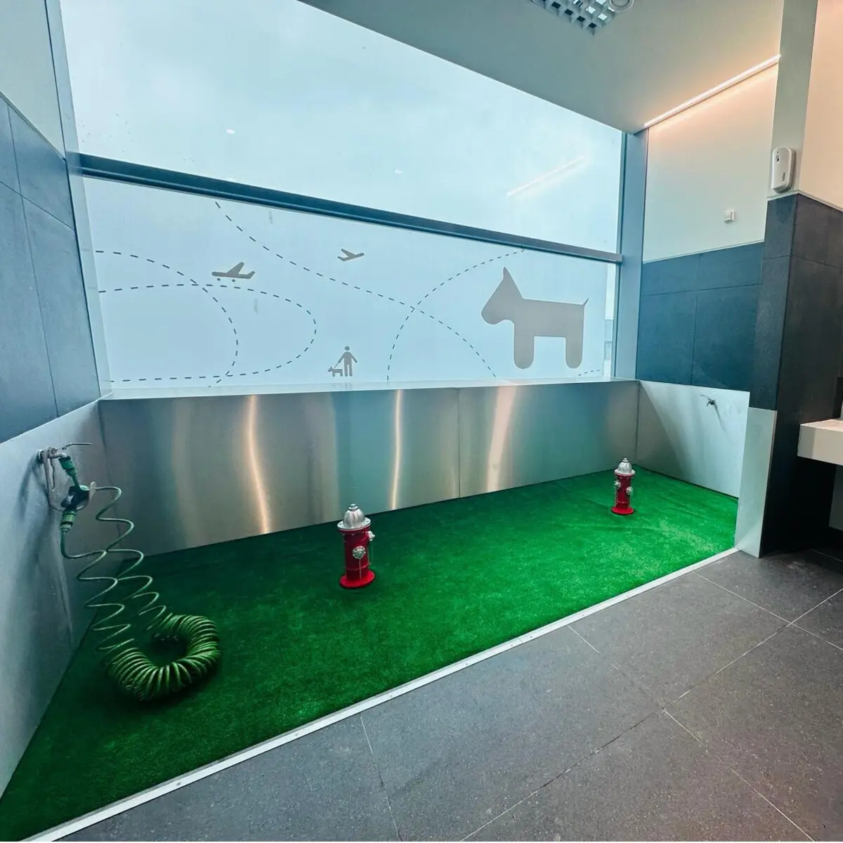 Espaço para garantir maior conforto aos cães que viajam