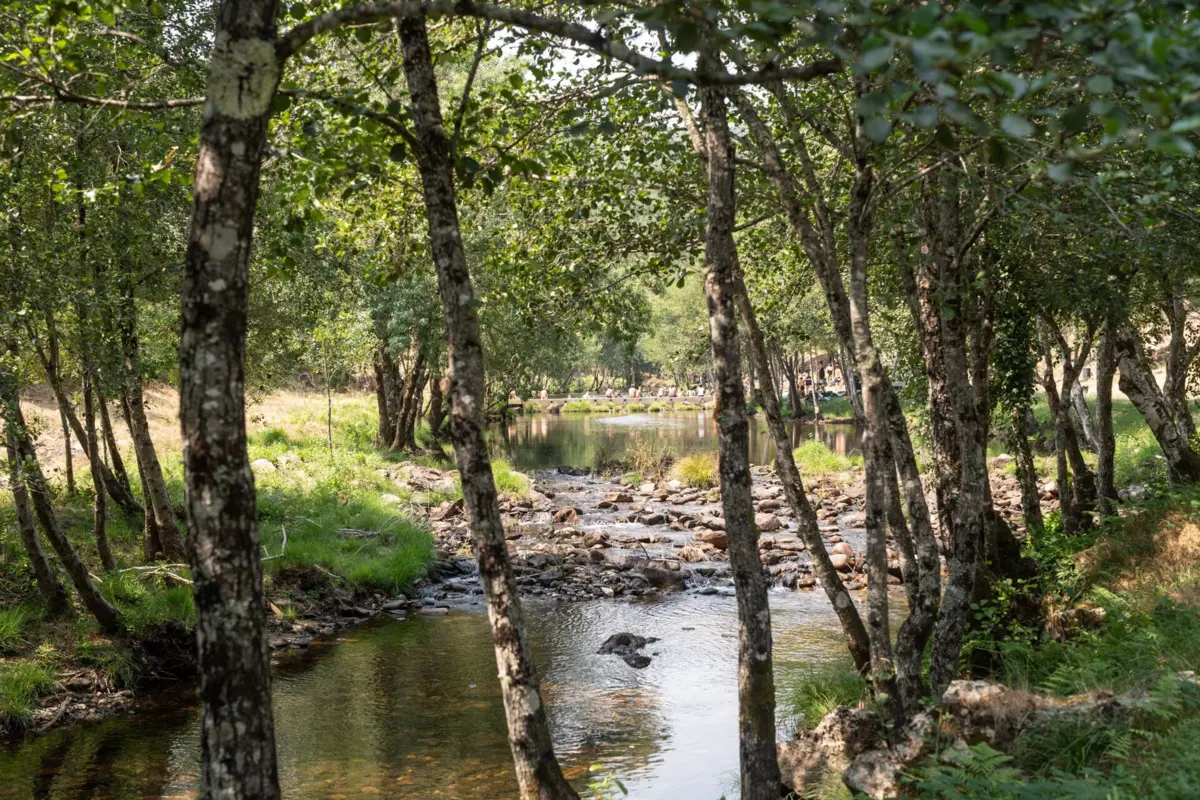 Várias dezenas de pessoas juntaram-se no rio Covas