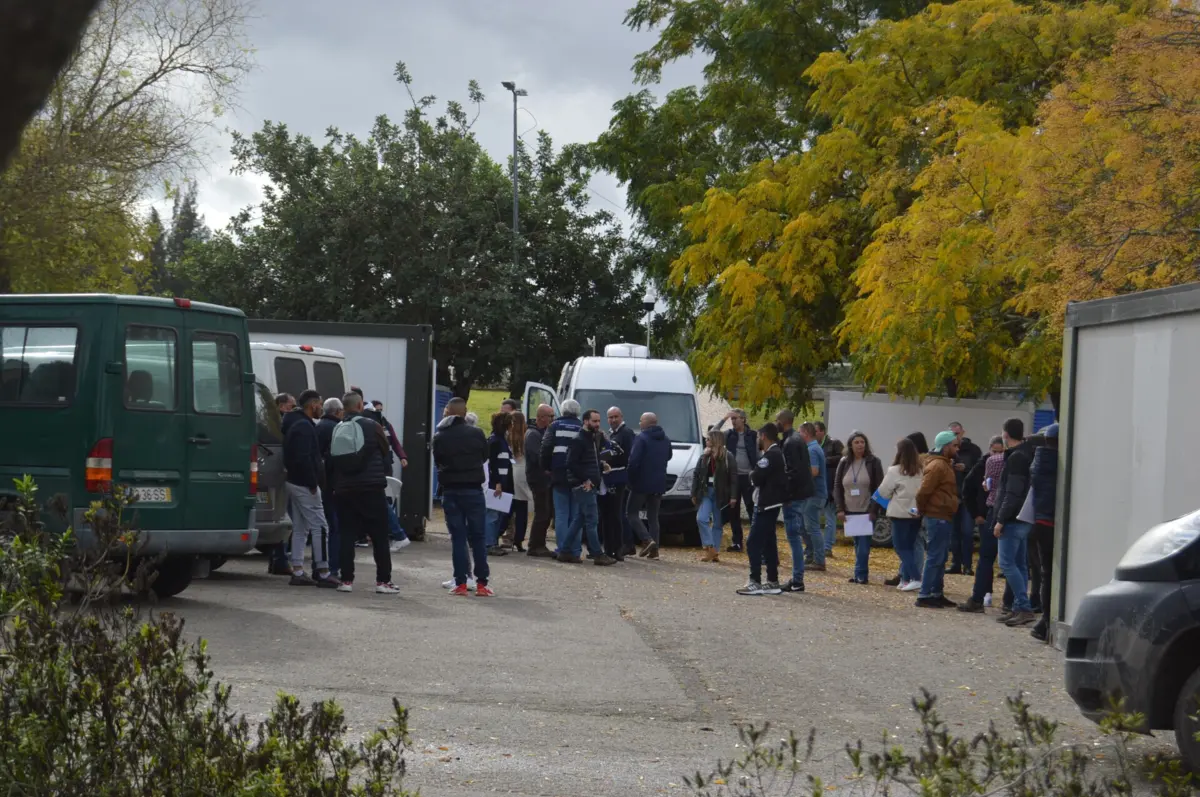 PJ fez 35 detenções e 65 buscas em novembro de 2022 em Beja