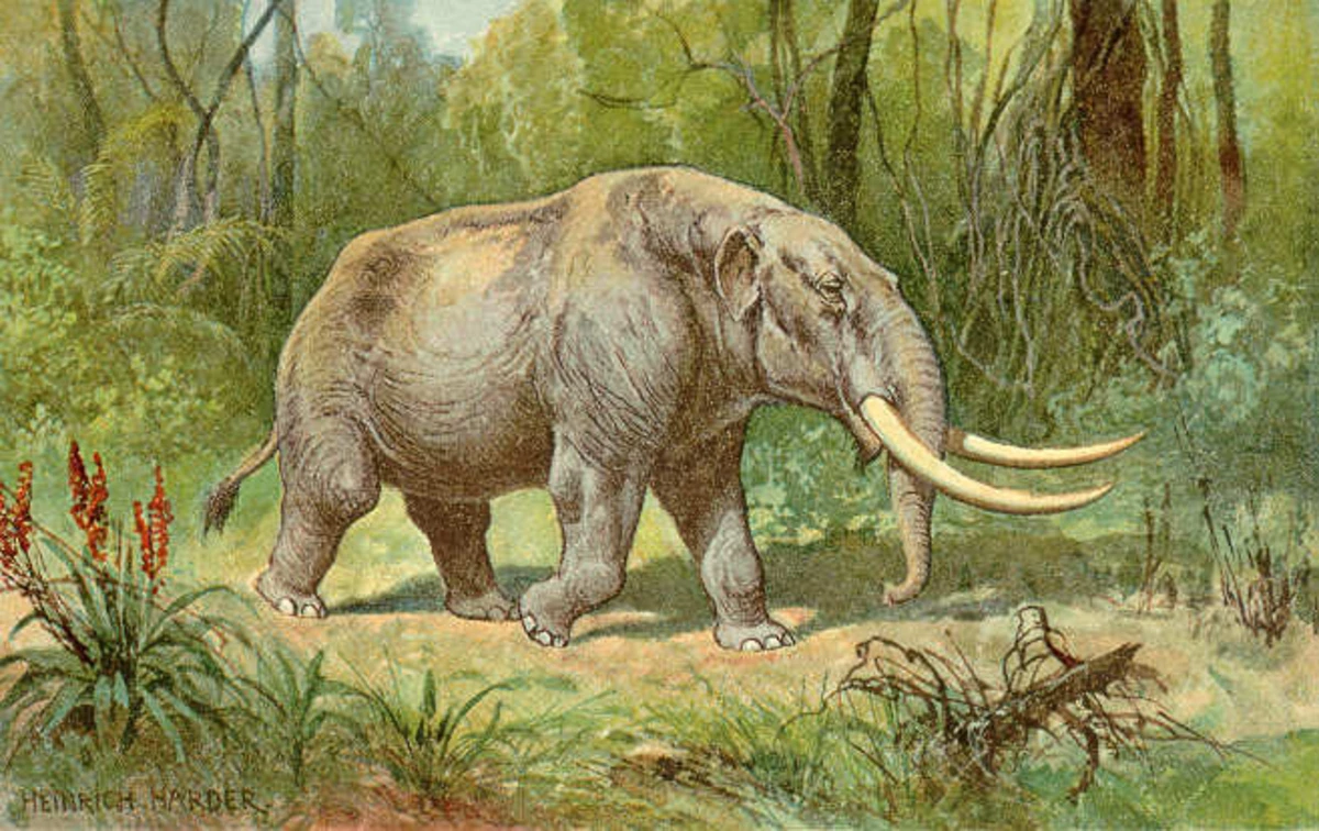 Os mastodontes são uma espécie semelhante aos mamutes e aos elefantes