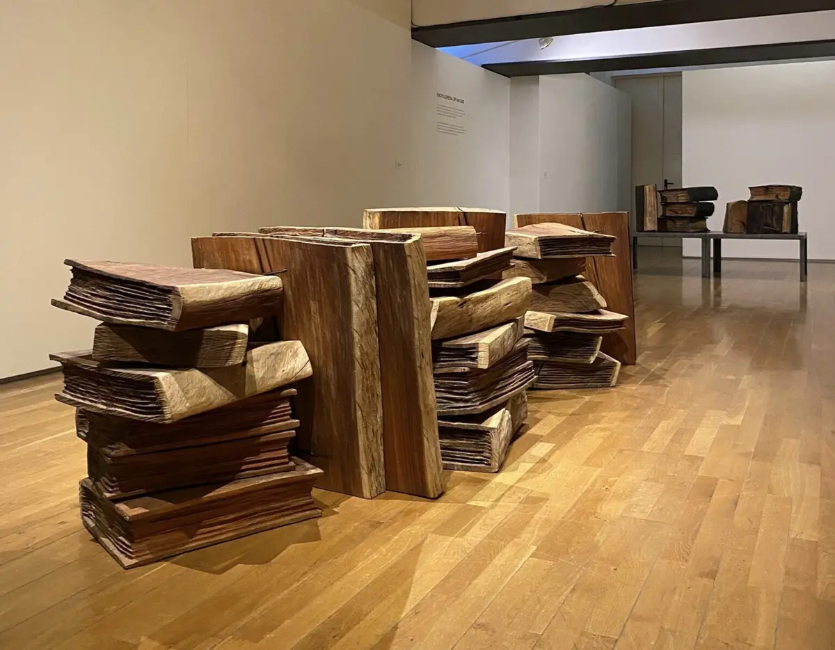 Apropriação do simbólico marca trabalho do artista