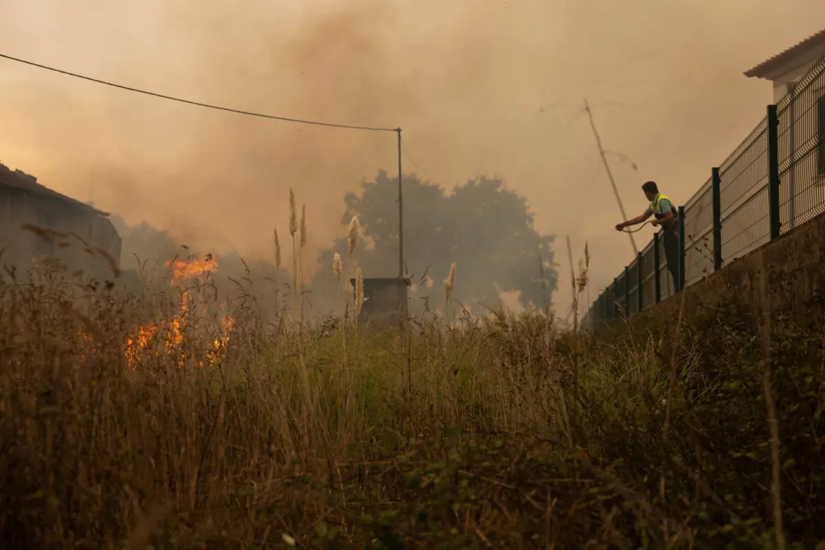 Imagem de contexto do artigo Ateou fogo a mata perto de casa para que um desconhecido não a frequentasse