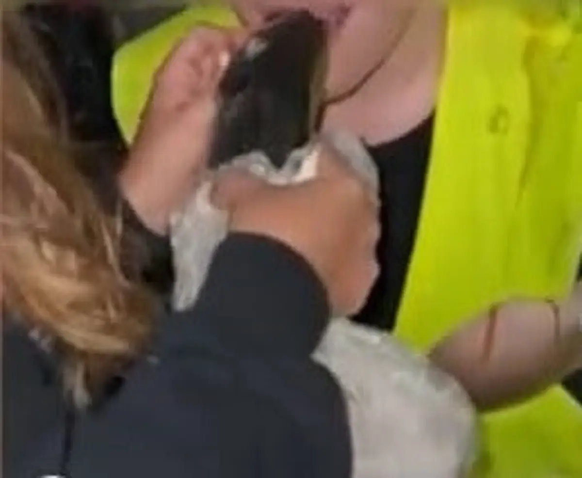 Frame do vídeo em uma estudante é obrigada a comer um peixe cru
