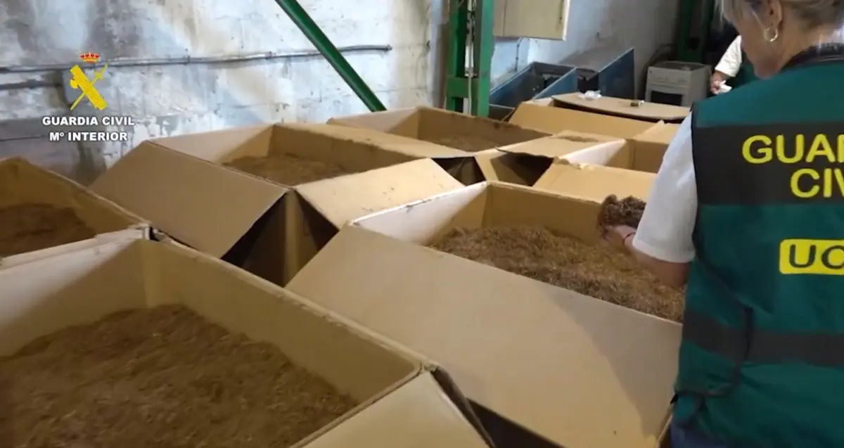 Nas duas instalações, foram apreendidas 33 toneladas de folhas de tabaco