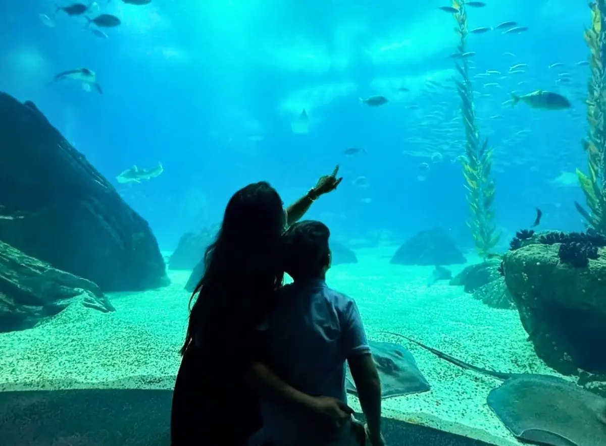 Oceanário é uma das atrações de Lisboa