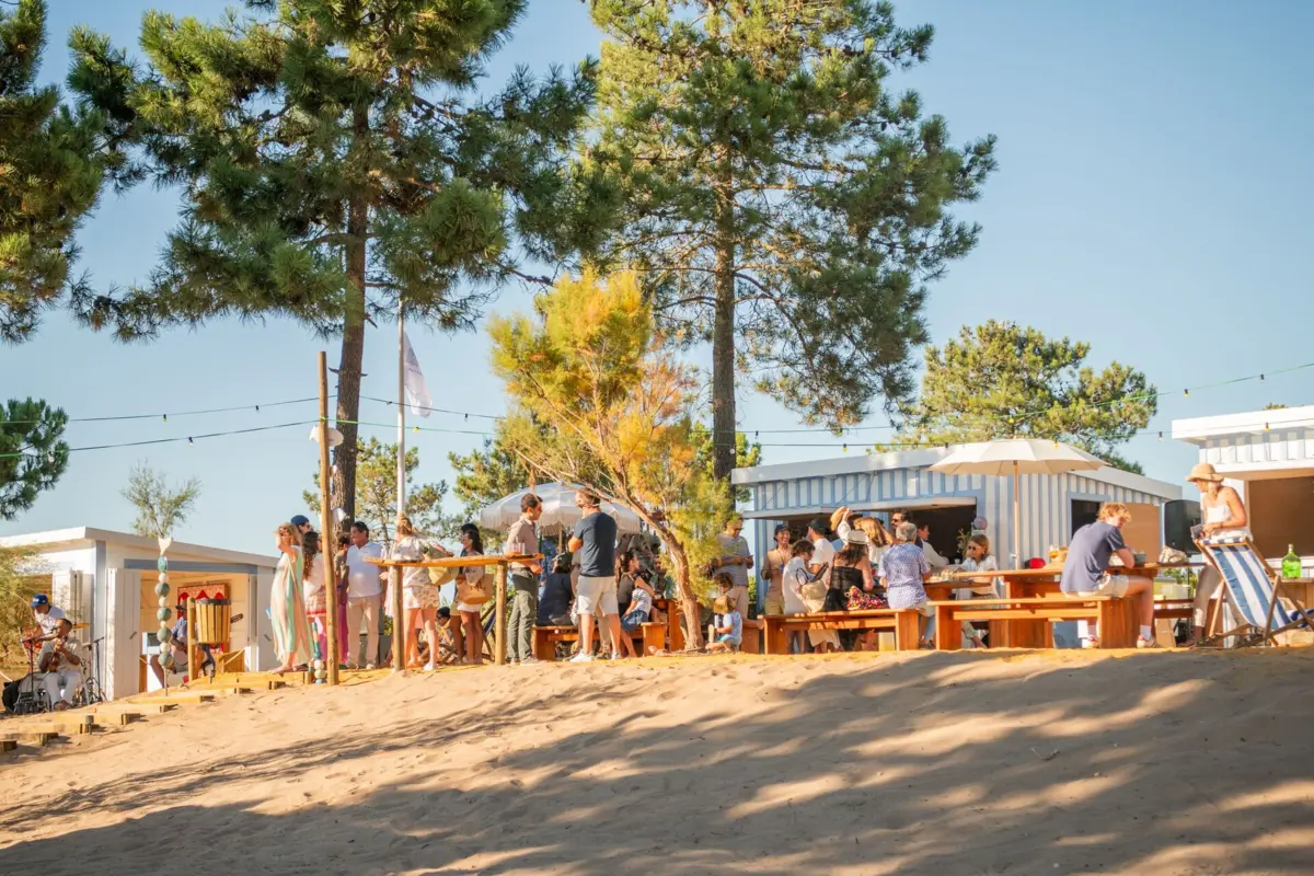 O Lusa Market fica abrigado debaixo de um pinhal.