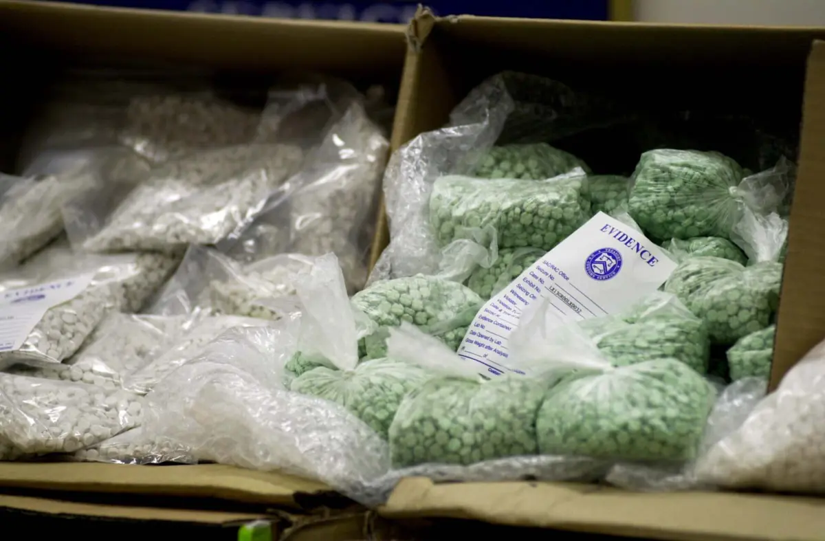 Casal detido pela PJ tinha cerca de 28 mil doses de diferentes drogas