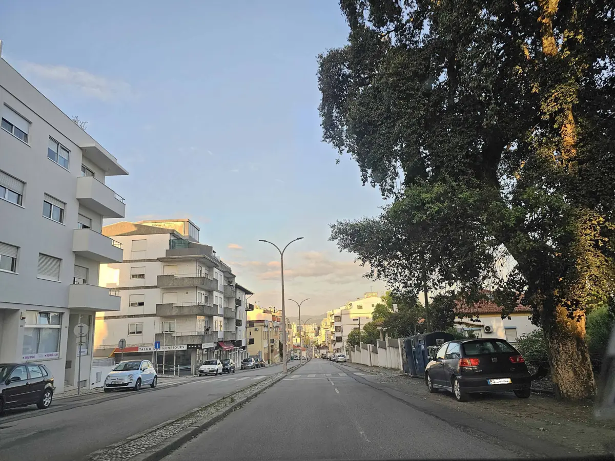 Empréstimo para requalificar Avenida do Brasil foi aprovado pela maioria socialista