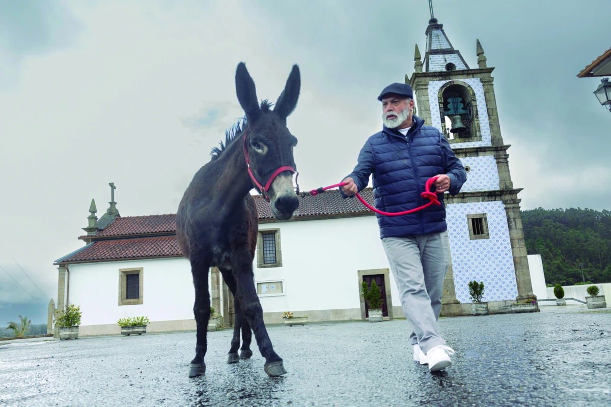 Clemente treina a "Vaidosa" para a procissão