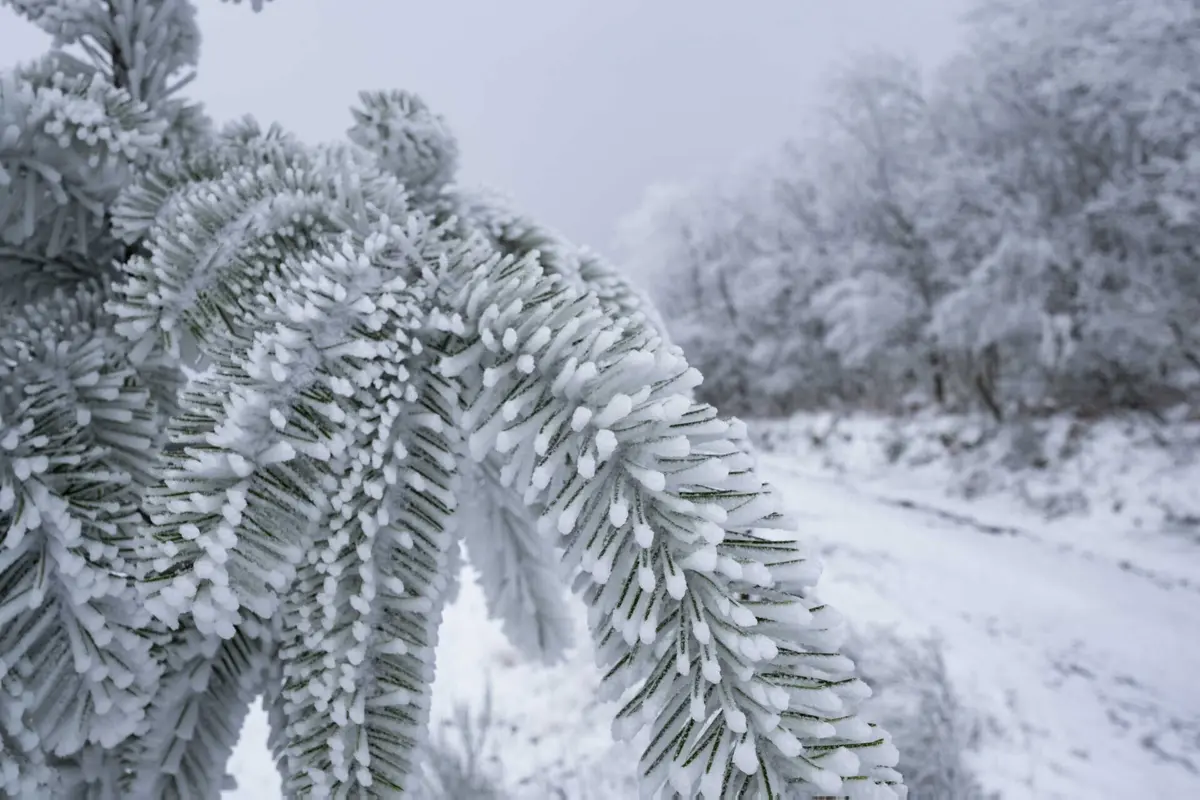 O inverno começa hoje, com previsão de chuva, queda de neve e temperaturas