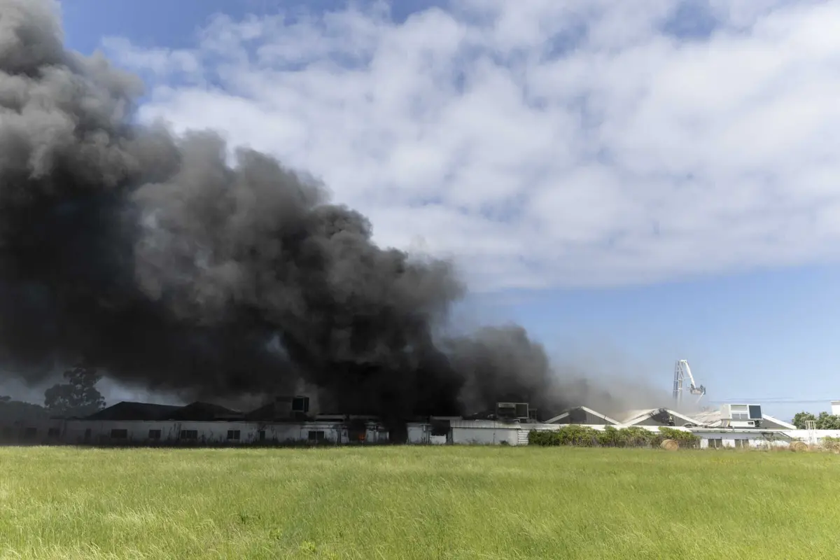 O incêndio na fábrica de tripas deflagrou cerca das 10.21 de sábado