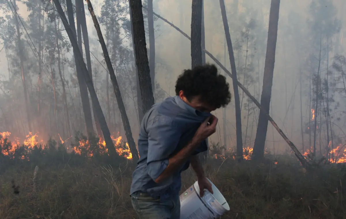 Fogo teve origem em trabalhos agrícolas com roçadora