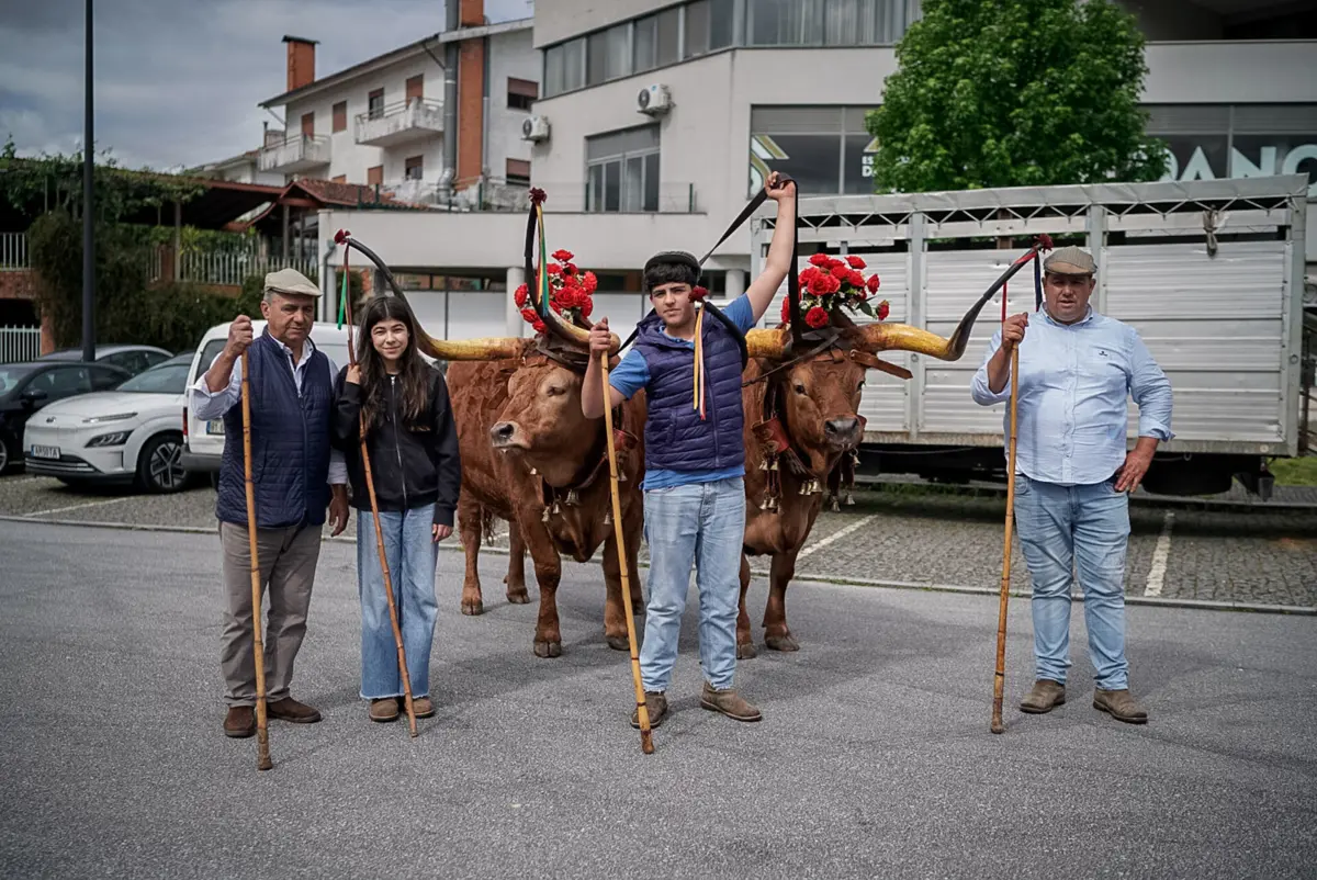 Imagem de contexto do artigo Duarte e Madalena, de 13 anos, levaram os bois Bonito e Cabano à Expovez e ganharam prémio