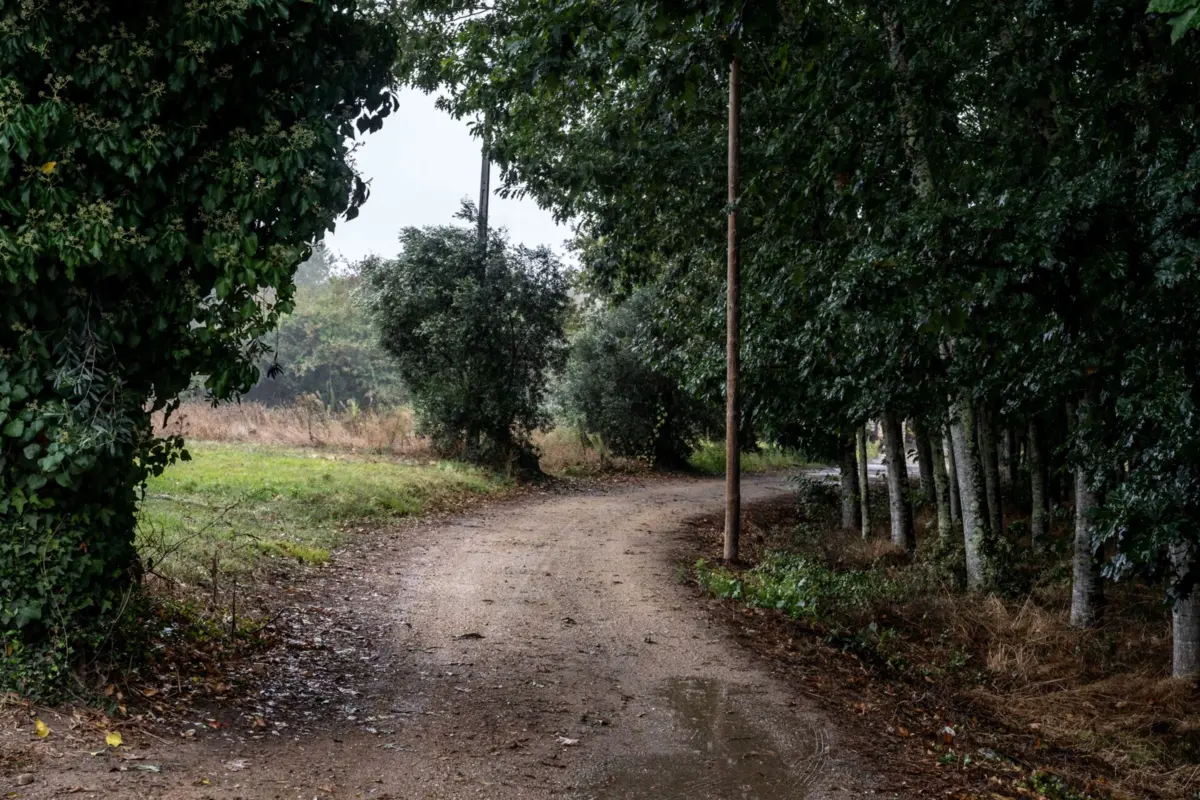 Crianças percorreu 12 quilómetros