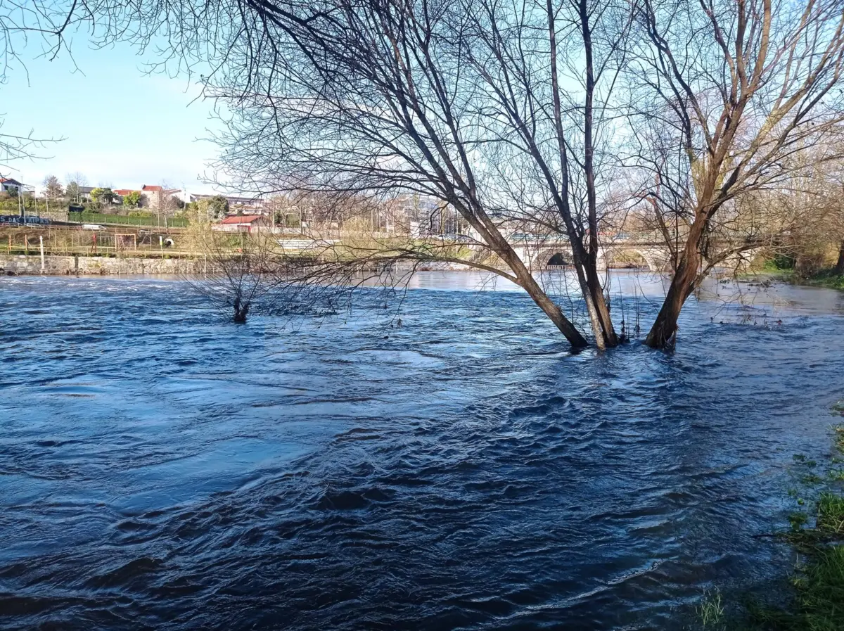 Nas Taipas, o rio Ave já galgou as margens