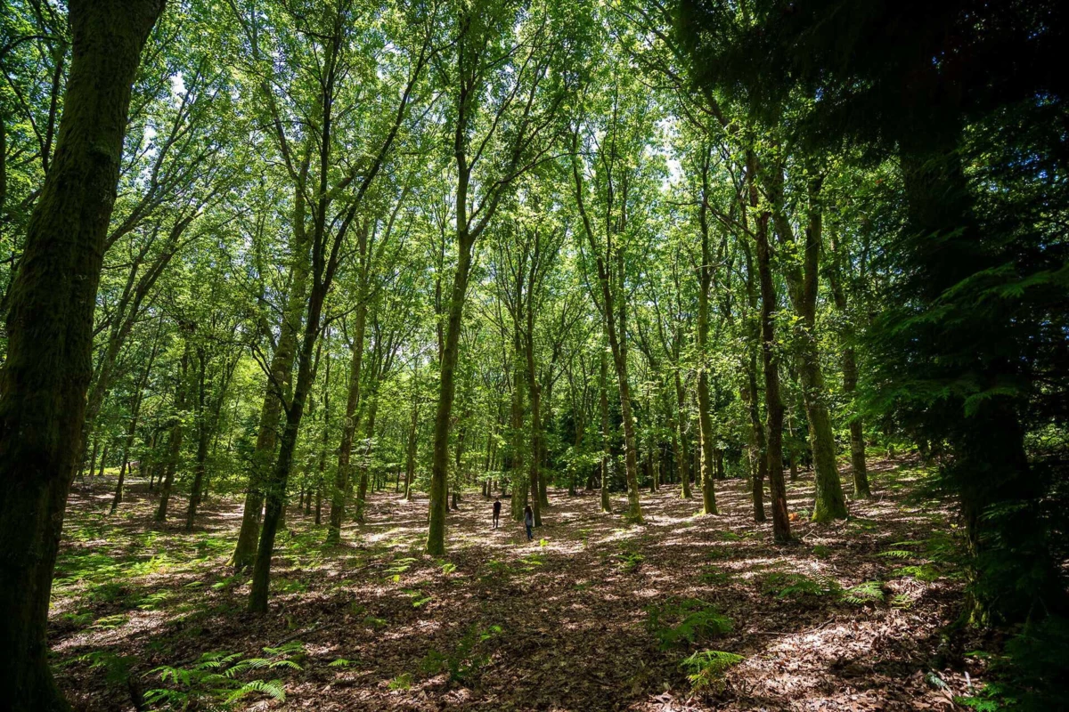 O projeto é uma forma de proteção das aldeias localizadas em territórios rurais