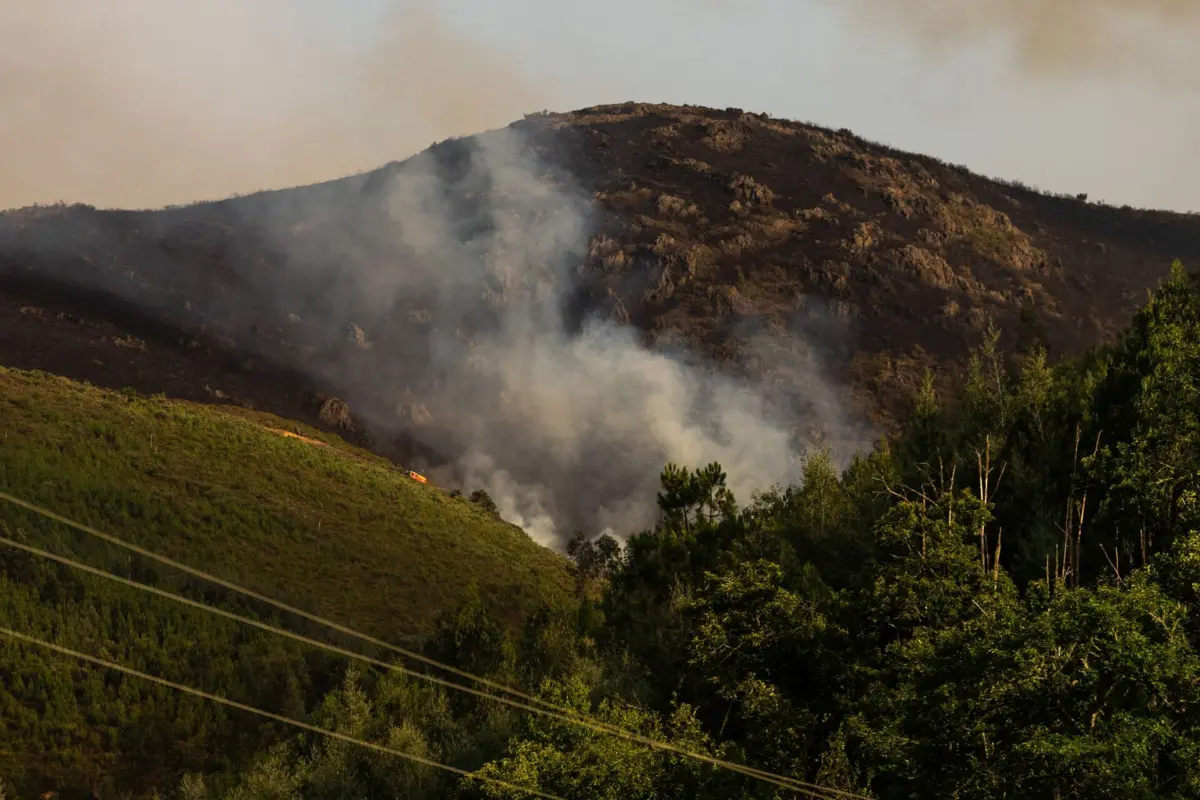 Imagem de contexto do artigo Arderam cerca de cinco mil hectares de baldios na Guarda e em Coimbra