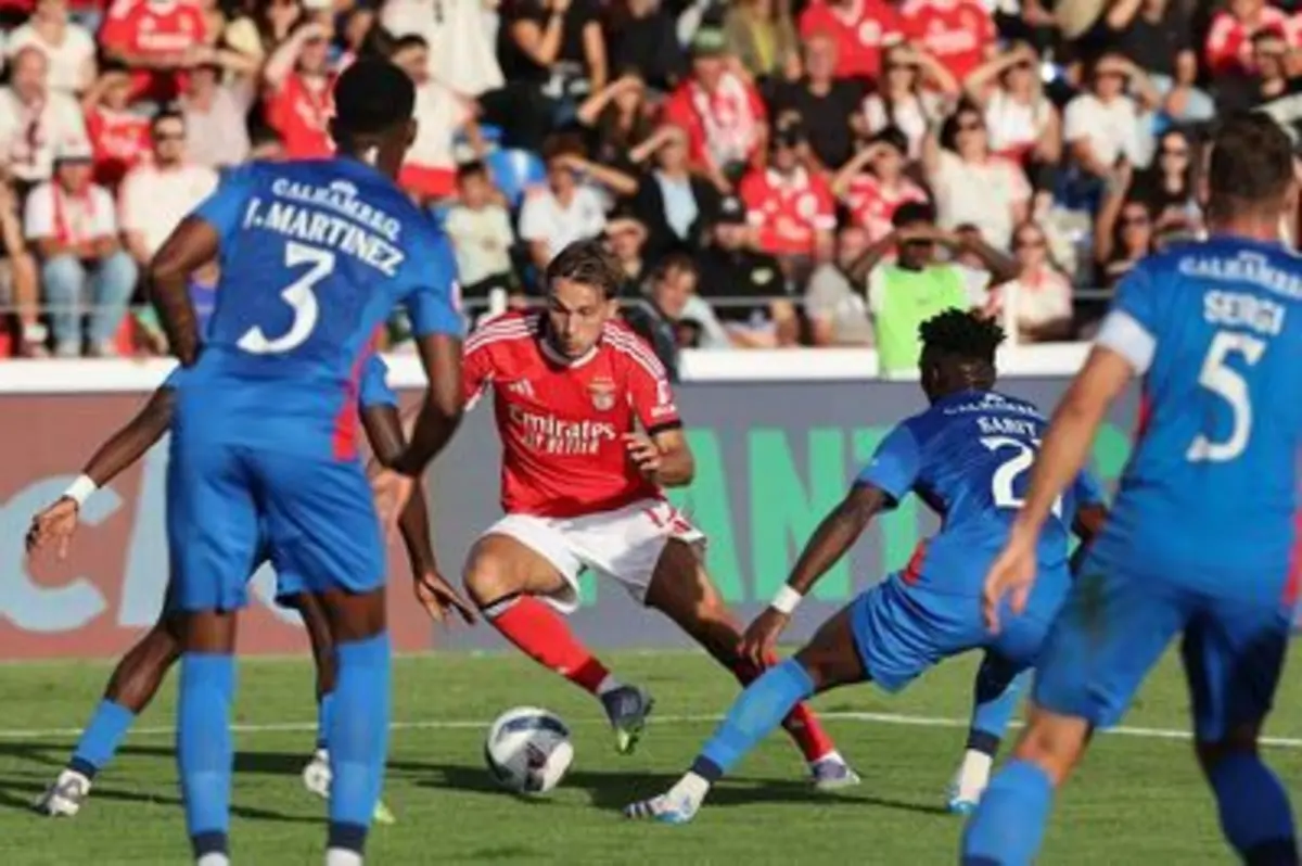 Dedic lesionou-se ao serviço da Bósnia