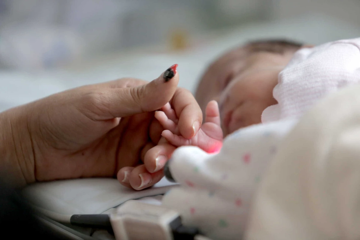 Às vezes são as próprias mães que não querem indicar o nome do pai, afirma advogada