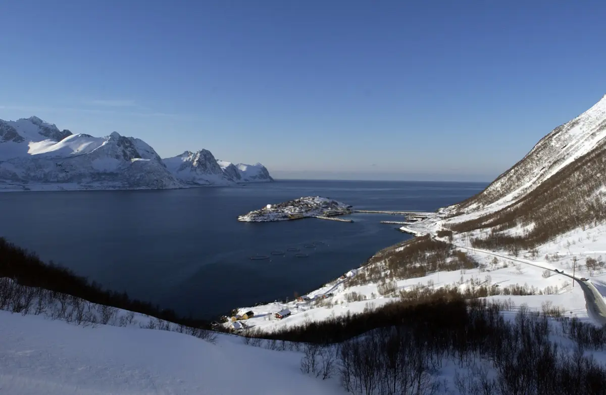 Imagem de contexto do artigo Noruega rejeita críticas de associação portuguesa sobre bacalhau russo