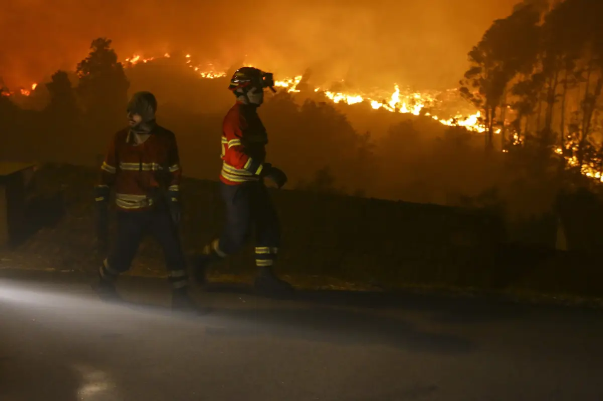 Crimes puseram em perigo a vida de pessoas, as casas nas imediações e a floresta