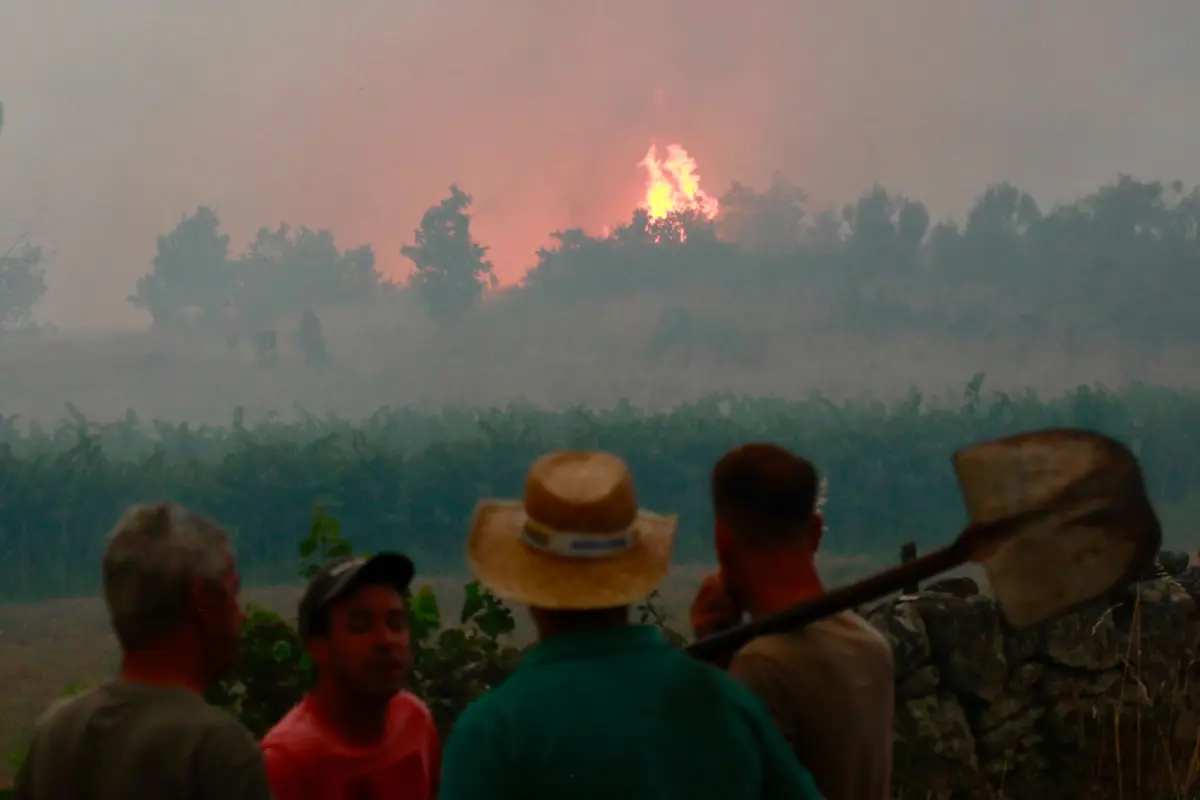 Guarda ativa Plano Municipal de Emergência e Proteção Civil devido aos incêndios "não dominados" que lavram no concelho