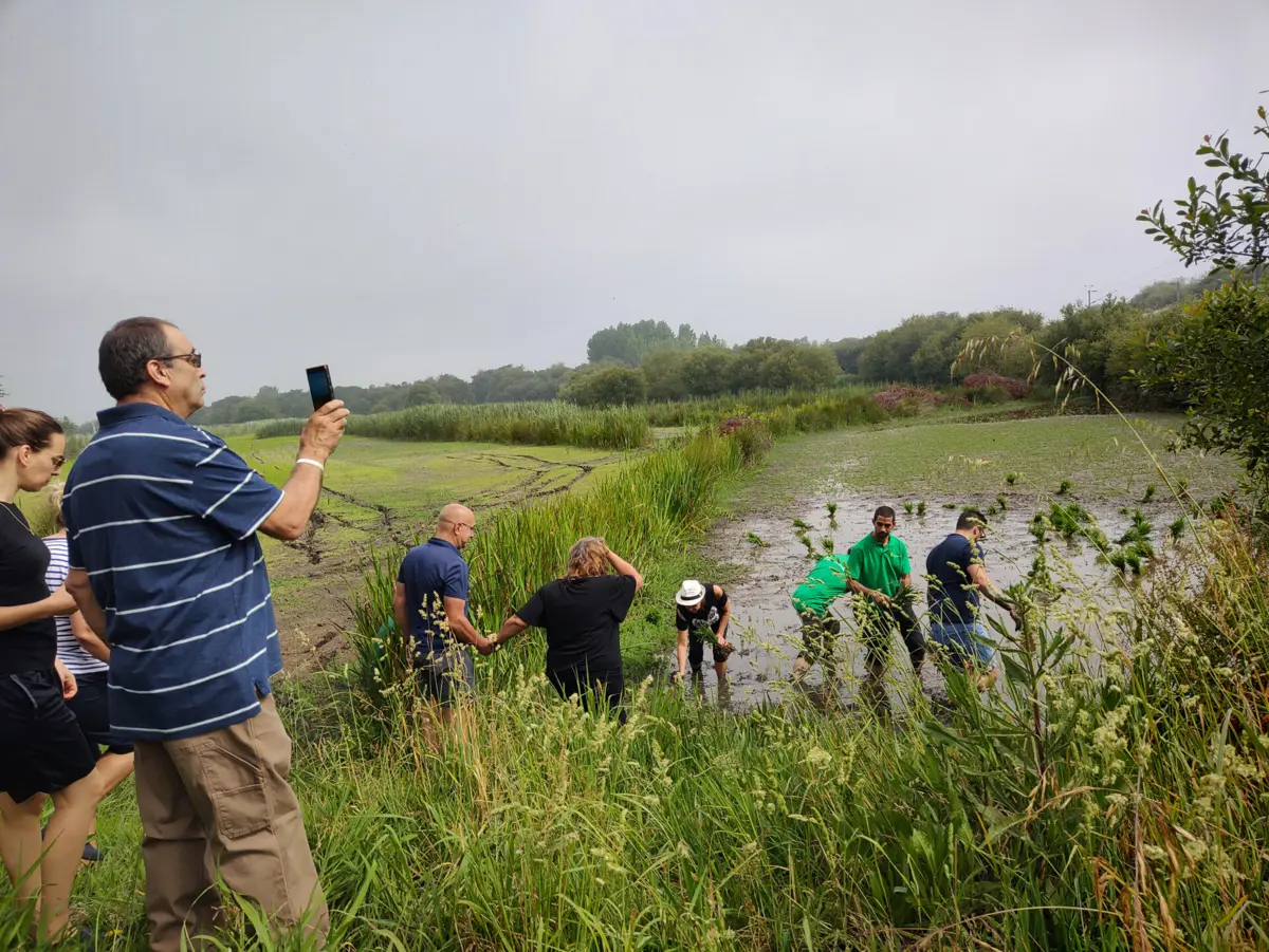 A iniciativa “Arroz com História: Tradição em Mãos”, que acontece pelo terceiro ano, faz parte de uma estratégia de “incremento da cultura do arroz” no concelho,