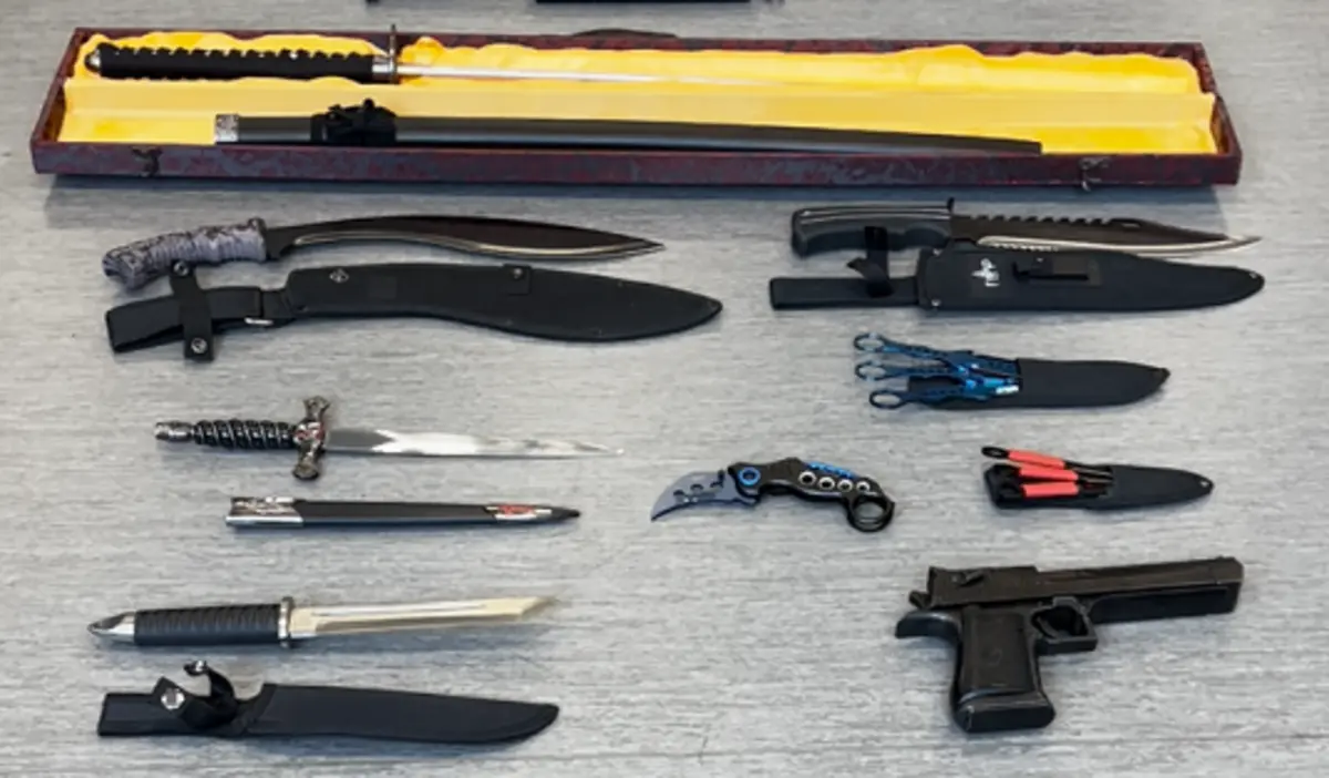 PJ apreendeu droga e armas na zona da Grande Lisboa