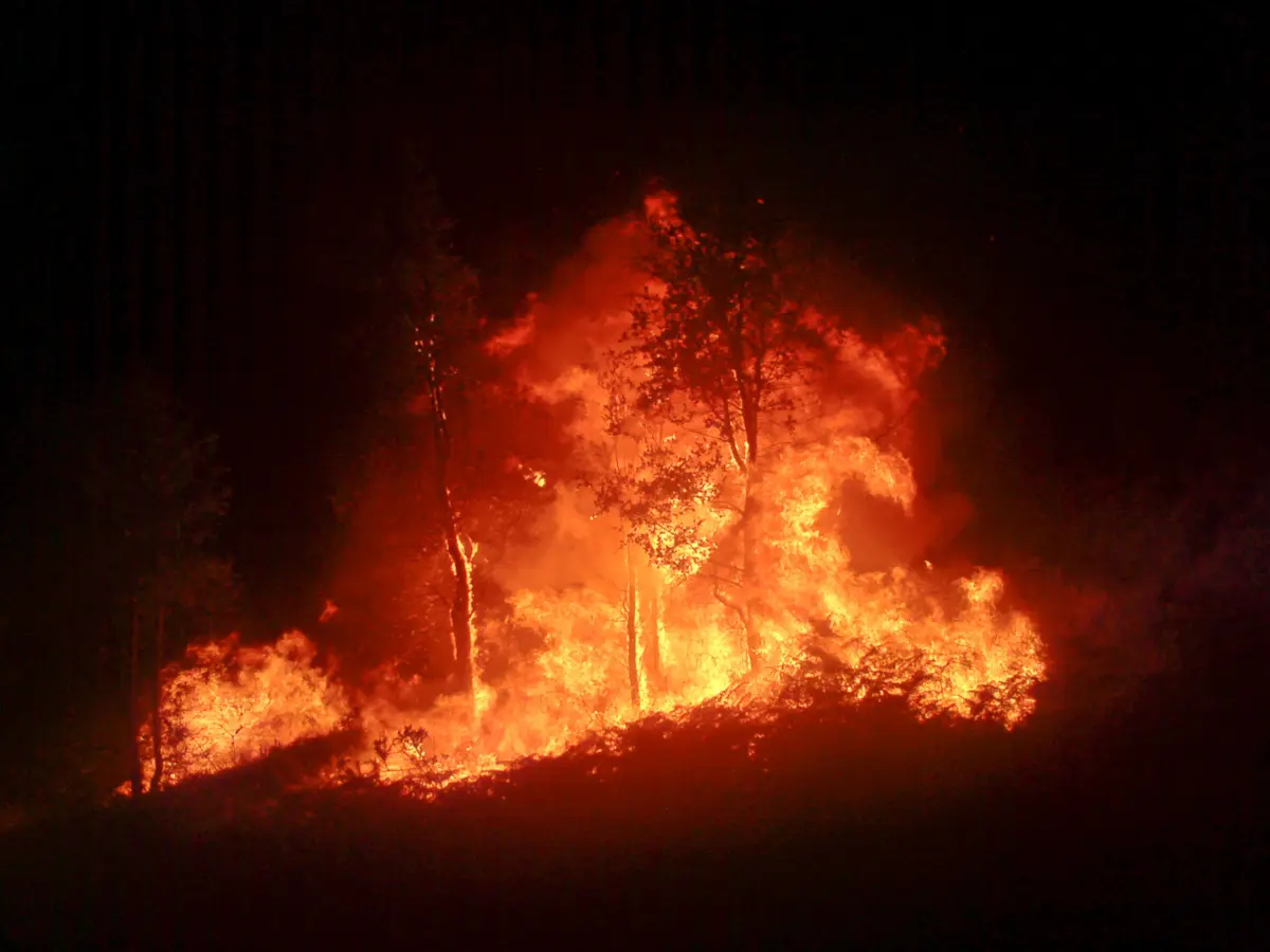Judiciária deteve homem suspeito de atear um incêndio na Lousã