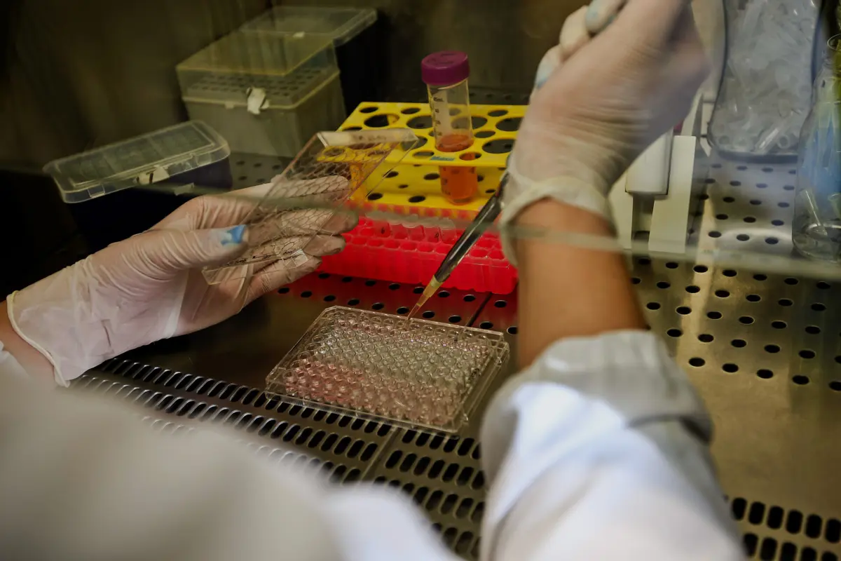 A nova descoberta, dizem os cientistas, está a transformar a compreensão da comunidade científica acerca de como os seres humanos estão protegidos contra infeções