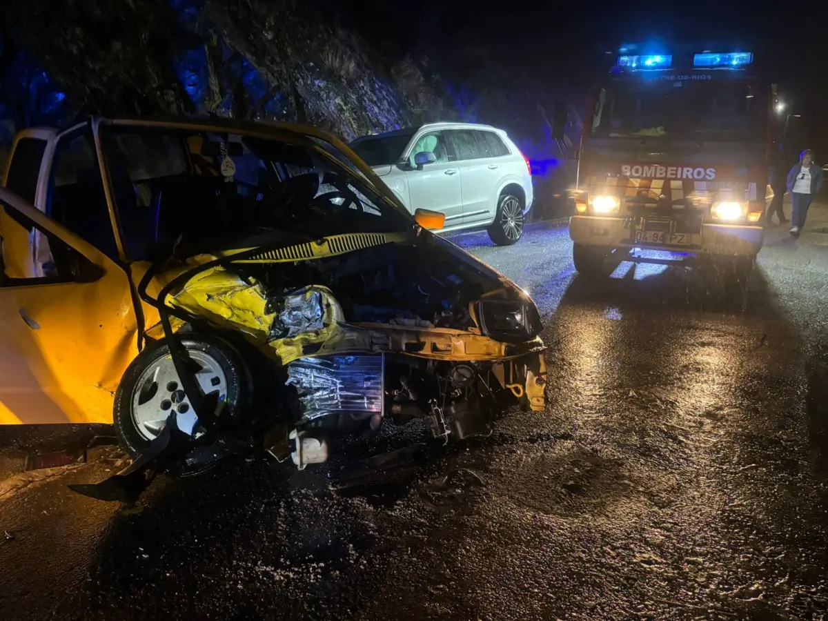 O acidente ocorreu perto do miradouro situado na freguesia de Sebolido