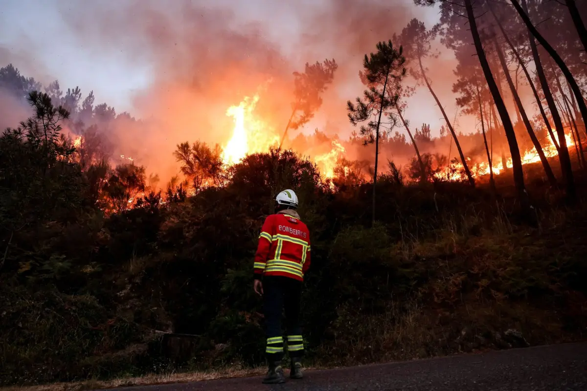 O fogo tem "uma extensão considerável" e já terá consumido cerca de sete mil hectares