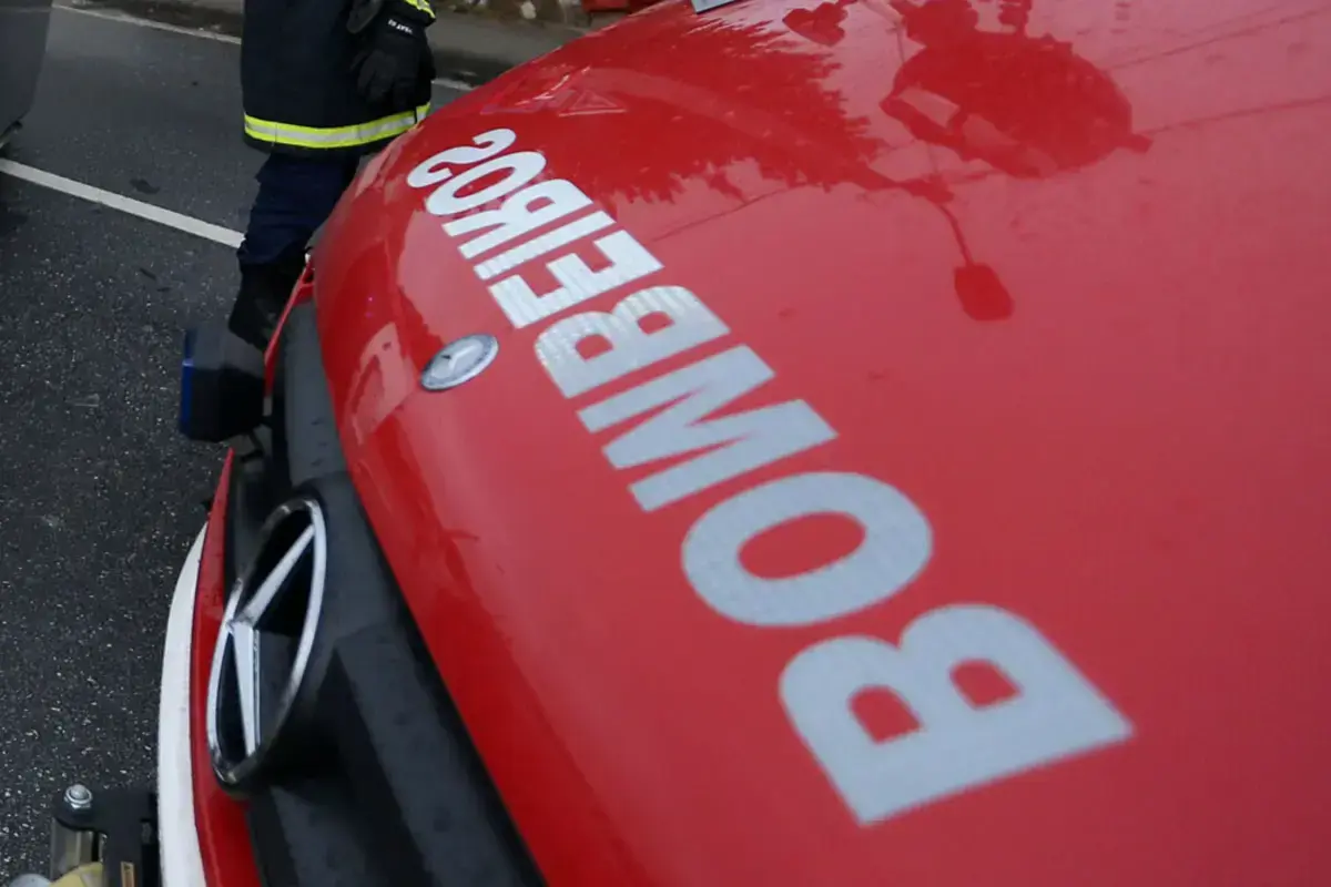 Bombeiros de Almeirim acorreram ao local