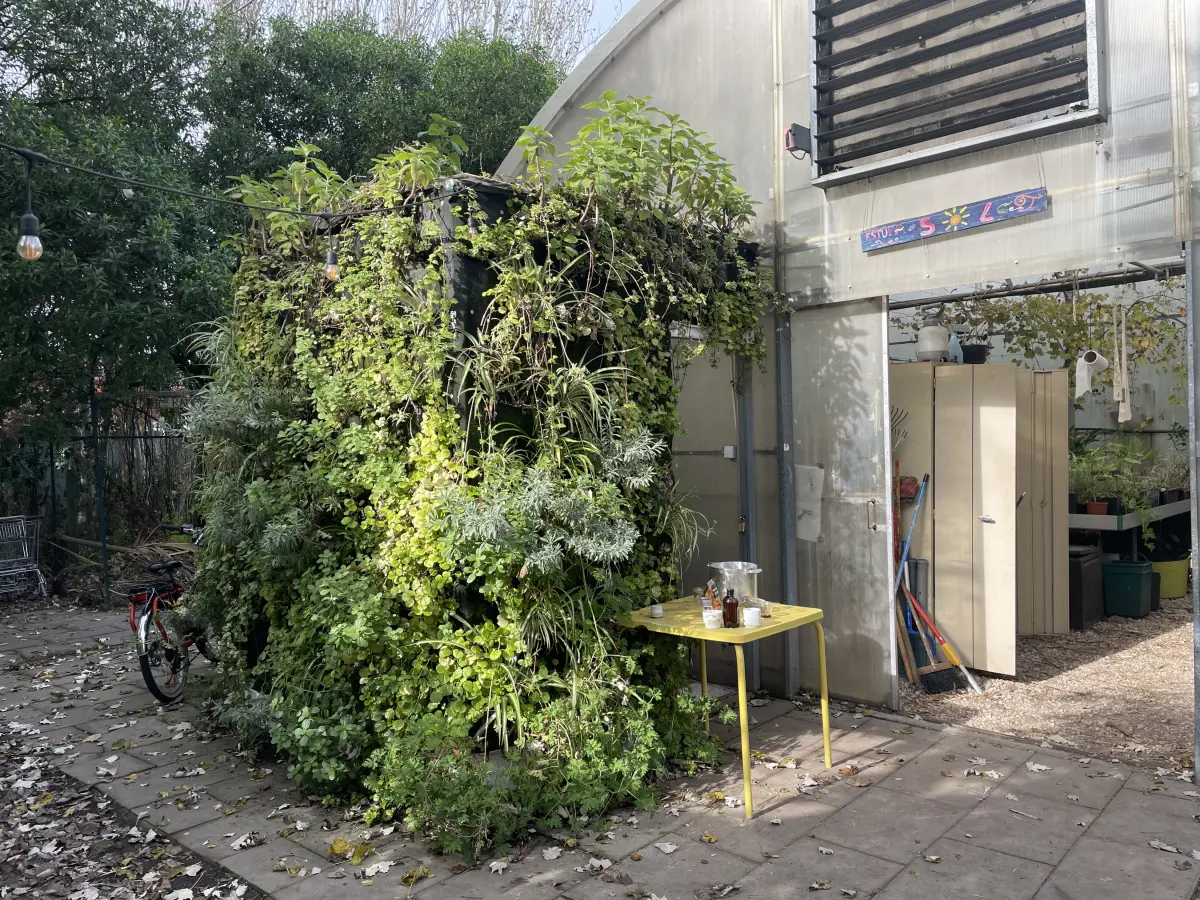 Imagem de contexto do artigo Jardim plantado em carpetes forra paredes e mantém temperatura na cozinha de faculdade em Lisboa