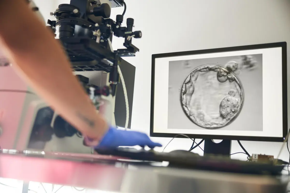 Imagem de contexto do artigo Cientistas implantam com sucesso um embrião num endométrio artificial