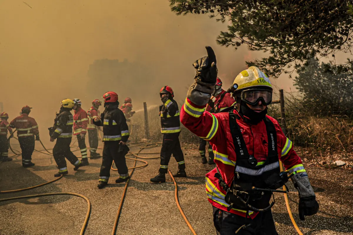 Em seis dias, os incêndios florestais consumiram cerca de 135.000 hectares