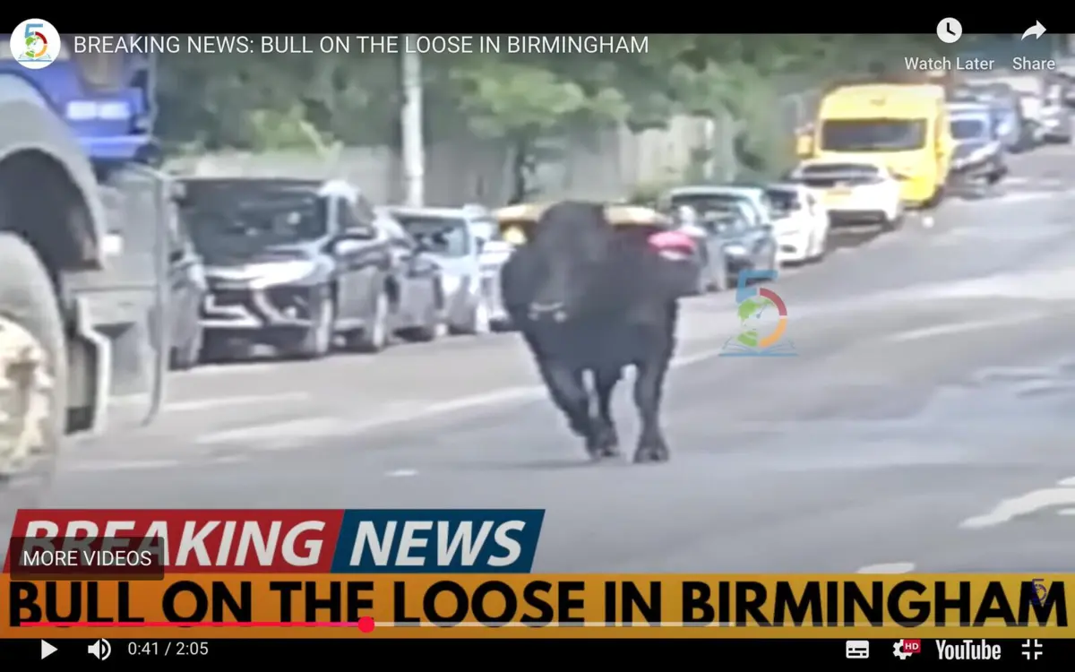 Imagem de contexto do artigo Uma estranha presença nas ruas de Birmingham
