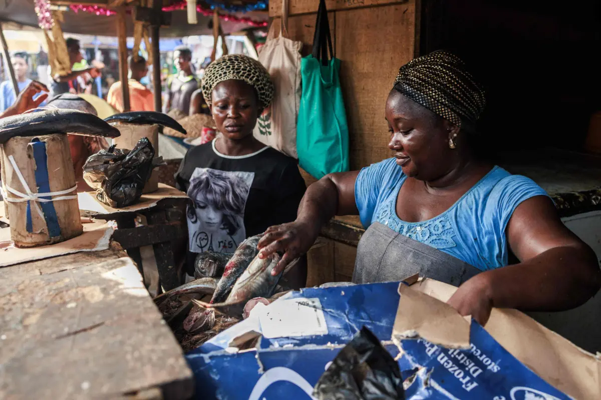 Projeto da Universidade do Porto incide na aquicultura em seis países africanos.