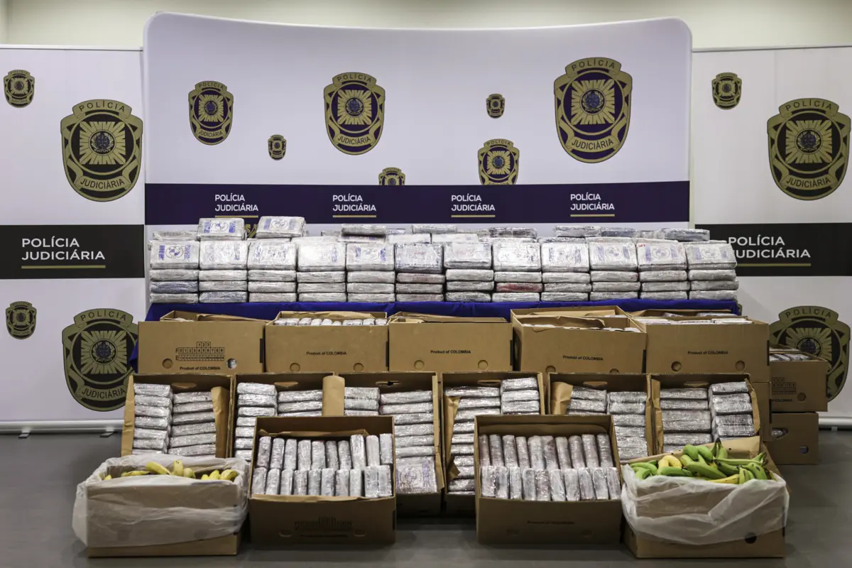 PJ tem feito sucessivas apreensões de cocaína que vem dissimulada em contentores de fruta, como bananas